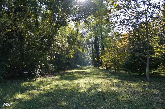 découvrir à la Forêt de Ripaille à Thonon les Bains